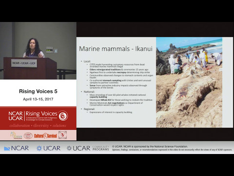 Rising Voices 5: Te Kupo