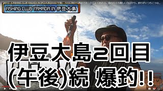 【東京都釣り】伊豆大島2日目午後。続爆釣!!!
