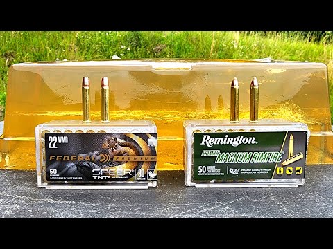 Federal Speer TNT .22WMR vs Remington Accutip .22WMR Ballistic Gel Test
