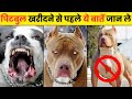 15 Interesting Facts About Pitbull Interesting Facts About Pitbull