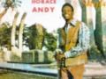 Horace Andy - Strange Things