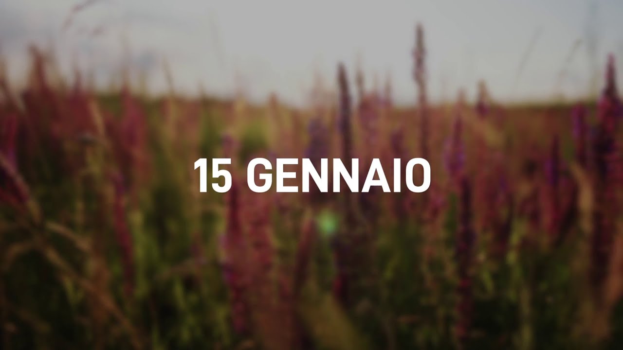 15 Gennaio 2025 | Meditazione Parole di Vita