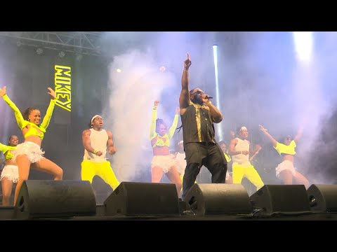 The Reunion delivers vibes and Bajan pride