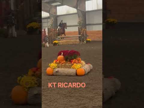Kt Ricardo video 1