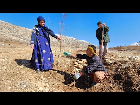 Planting a Seedling of Hope: Will We Be Proud of Our Work in 3 Years? - Our Future