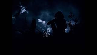 Donovan Season of the Witch (music video)