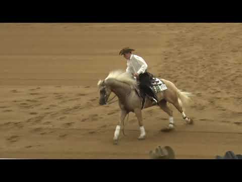 201003 Non Pro Futurity Lane Colston on Coded N Stars