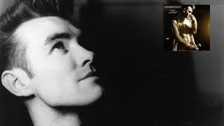 Morrissey - I Know It's Gonna Happen Someday (Tradução/Legendado)