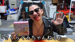 お笑いど素人コント『さくらぐみちゃんねる』