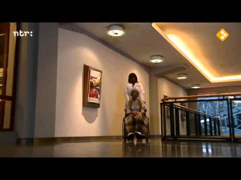 De Dino Show | zo 19 feb 2012