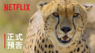 《海陸空動物王者》| 正式預告 | Netflix