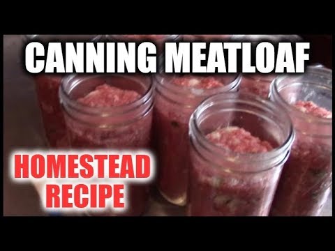 download lagu mp3 mp4 Canned Meatloaf, download lagu Canned Meatloaf gratis, unduh video klip Canned Meatloaf
