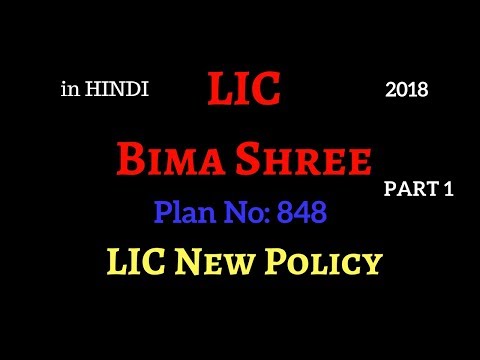LIC Bima Shree Policy | Money Back Policy | Bima Shree Policy | PolicyBazaar Blog Video