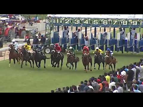 RM5 R3 - Wall Tag | D.David