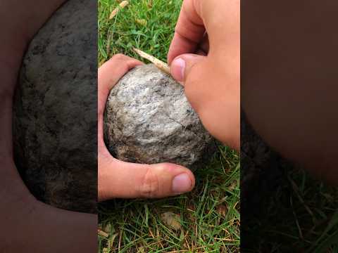 Ancient Skill! Making a Needle out of Bone!