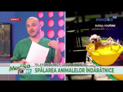 25 03 2019  MEDIKA VET -  Spălarea animalelor îndărătnice