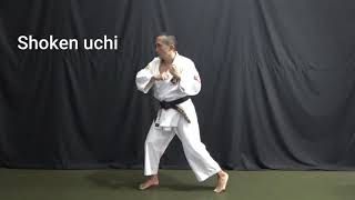 Download lagu Shorinji Kempo - Basic Techniques 4 mp3
