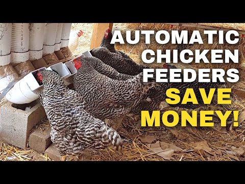 , title : 'Automatic Chicken Feeders | Save Time Raising Chickens'