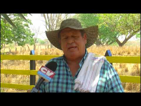 Ganaderos del Atlántico piden mayor seguridad