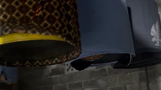 Download lagu Does the magpie robin use a light at night or not? mp3 Download lagu Does the magpie robin use a light at night or not? mp3