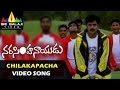 Narasimha Naidu Songs Chilakapacha Koka Video Song Balakrishna Simran Sri Balaji Video