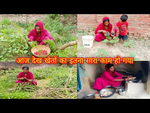 एकदम कलेक्टिव ग्रुप में आज खेतों का इतना सारा काम किया। Rimikafamilyvlog
