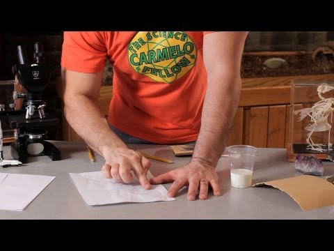 How to Write a Secret Message in Milk 