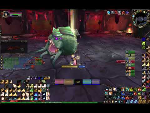 Holy Paladin - Blood Furnace Heroic [TBC Classic]