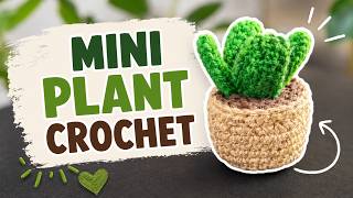 DIY Mini Crochet Plant 🌱 | Easy Crochet Plant Tutorial for Beginners