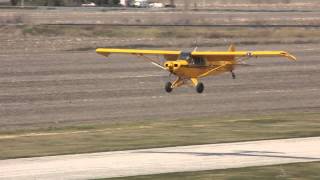 [HD] *Birdstrike* Bright Yellow Piper PA-18A-150 Super Cub Landing CSU3