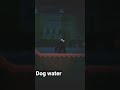 Burn #dog water#burnedoutguy