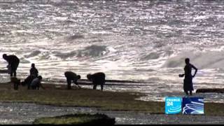 World winds - Polar tourism in Greenland