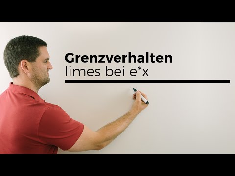 Grenzverhalten, limes bei e^x, Exponentialfunktion, e-Funktion, 2.Teil | Mathe by Daniel Jung