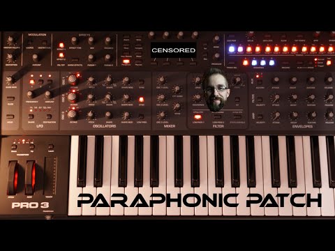 Sequential Pro 3 | Making a Paraphonic Patch and Sequence [free loops]