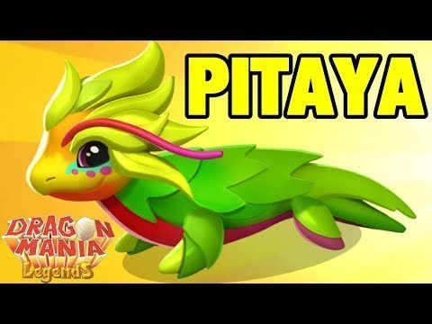 Dragon mania legends Gameplay/PITAYA dragon-Part 3