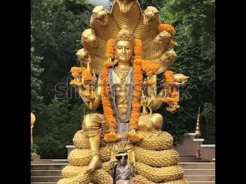 Nalini ?????? ?????? ????