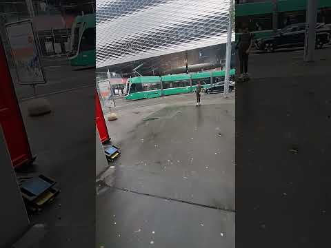 SHORTS TECHNOLOGY α 343   69