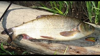 Воблера yo zuri l minnow
