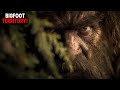 Bigfoot Territory Campers Discover Chilling Evidence