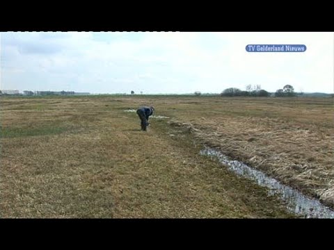 GLD Nieuws 29 maart 2010 - Nieuws