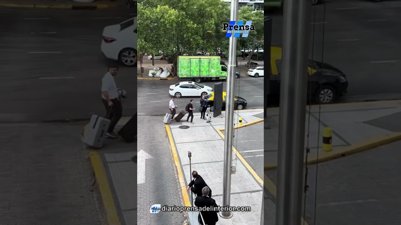 UN ROBOT EN PUERTO MADERO