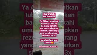 Download lagu Aamiin π€² #status #sholawat #shorts #story #kayarayadengansholawatjibril mp3 Download lagu Aamiin π€² #status #sholawat #shorts #story #kayarayadengansholawatjibril mp3