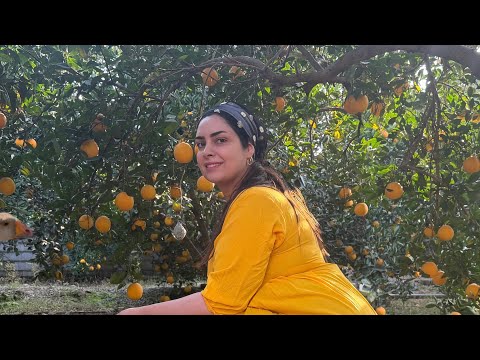 Village Girl Cooking AMAZING Traditional Iranian Food