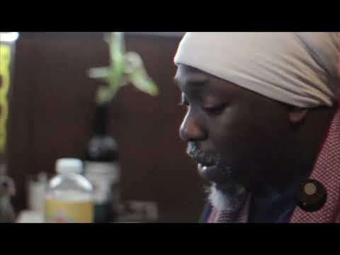 Chillowproductions & Dj Grazzhoppa - Fly Ego (feat Venomous2000) TEASER