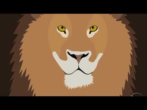 Martin Eyerer & Ackermann - What (Markus Homm Remix)