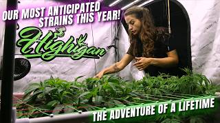 Our Most Anticipated Strains This Year and The Journey Of A Lifetime!