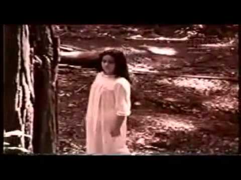 Bee Gees x Chitaozinho e Xororó words   YouTube 0 1422055805990