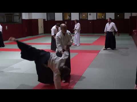 Aikido Sensei Philippe Gouttard - Move the centre