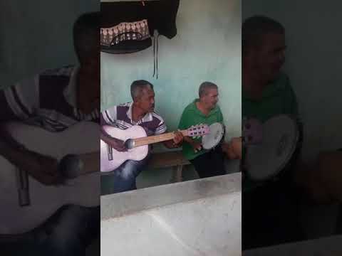 Carqueijo fedegozo e fedorenta(1)