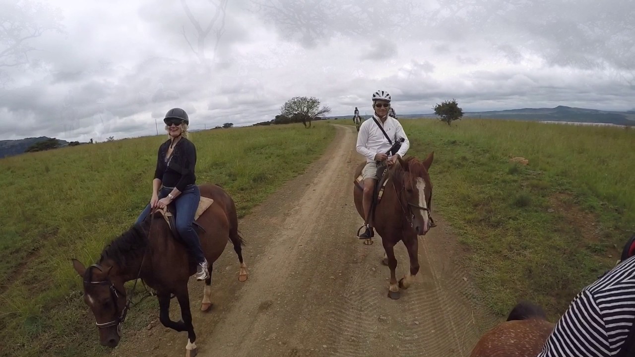 Horse Riding at Three tree Hill - From guests